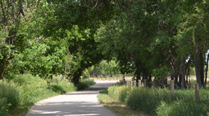 Maps Poudre River Trail Corridor - DSC 0025 300x166 